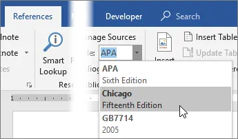 The Style dropdown in Word with the bundled citation styles (APA, Chicago, and others)
