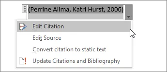 Context menu of a citation field in Word with "Edit Citation" and "Edit Source"